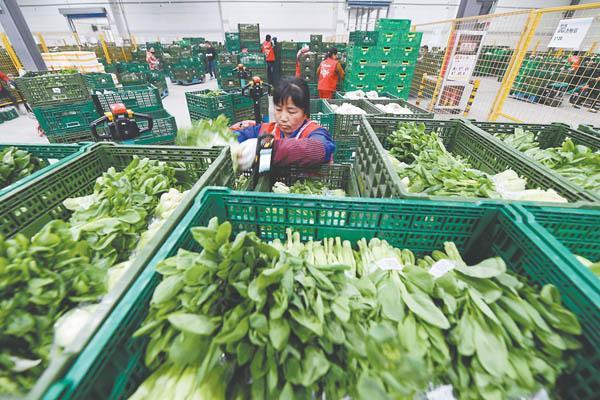 أحدث مدونات الشركة حول لماذا أصبحت الصناديق الشبكية مقاس 600 × 400 × 220 مم هي المعيار القياسي لتسليم المنتجات الطازجة 